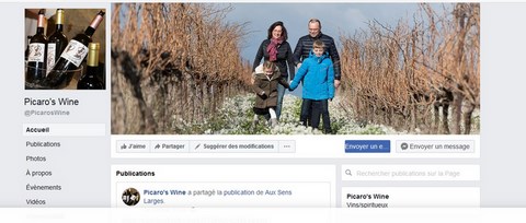 domaine picaros
